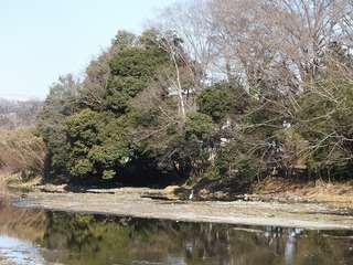 19.1.28.2.jpg
