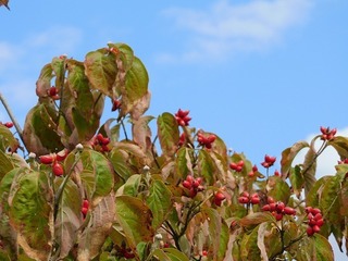 19.10.15.2.jpg