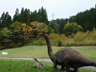 19.10.25.3.jpg