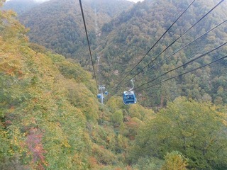 19.10.29.3.jpg