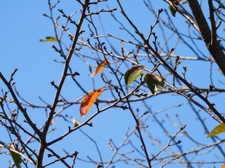 19.11.22.1.jpg