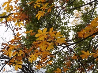 19.11.24.2.jpg