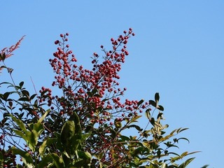 19.11.28.2.jpg