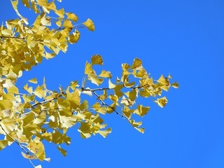 19.11.30.1.jpg