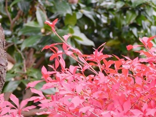 19.12.17.01.jpg