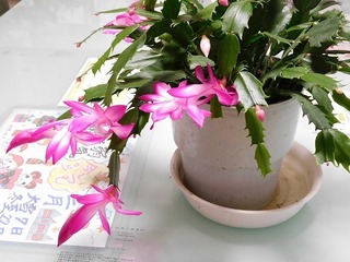 19.12.26.1.jpg