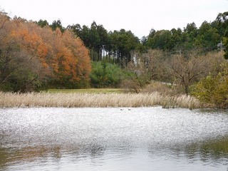 19.12.26.2.jpg
