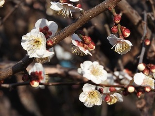 19.2.11.1.jpg