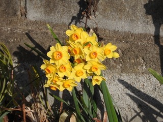 19.2.11.2.jpg