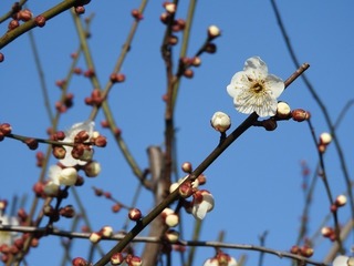 19.2.14.1.jpg