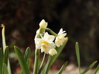 19.2.14.2.jpg