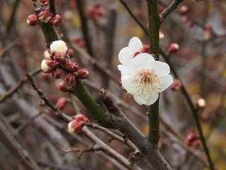 19.2.24.2.jpg