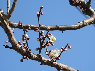 19.2.28.1.jpg