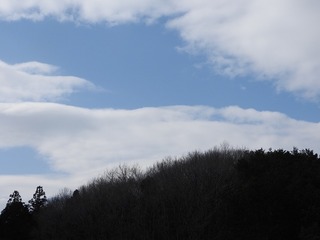 19.2.28.2.jpg