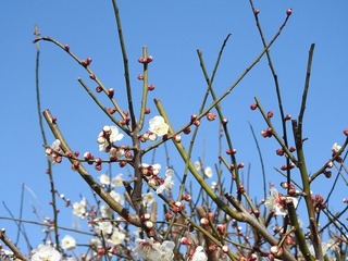19.3.10.2.jpg