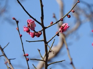 19.3.10.3.jpg