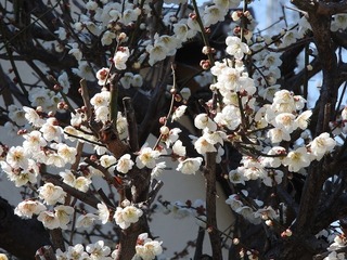 19.3.14.2.jpg