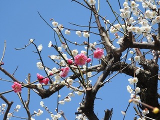 19.3.15.1.jpg