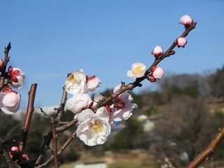 19.3.15.2.jpg