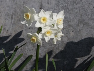 19.3.16.1.jpg