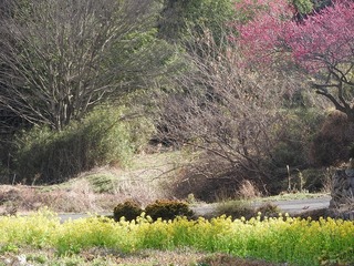 19.3.17.3.jpg