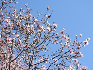 19.3.21.1.jpg