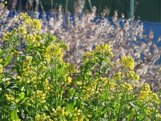 19.3.21.2.jpg