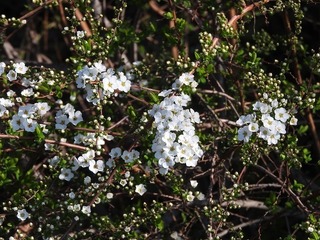19.3.21.3.jpg