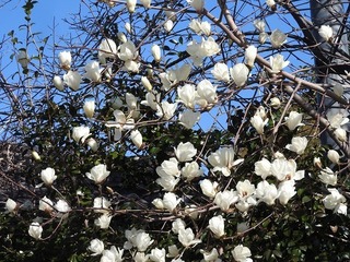 19.3.23.1.jpg