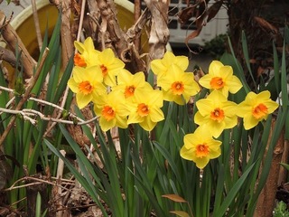 19.3.23.3.jpg