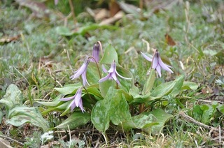 19.3.24.jpg