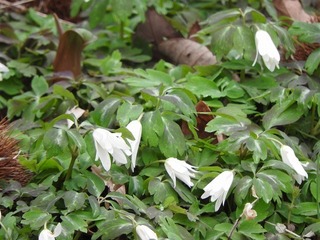 19.3.30.2.jpg
