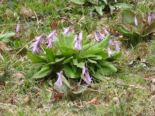 19.3.30.3.jpg