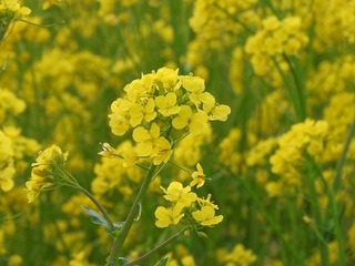 19.4.11.2.jpg