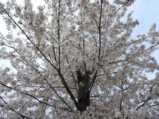 19.4.15.jpg