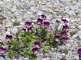 19.4.15.3.jpg