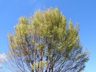 19.4.18.1.jpg
