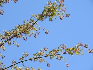 19.4.19.1.jpg