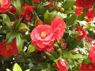 19.4.19.2.jpg