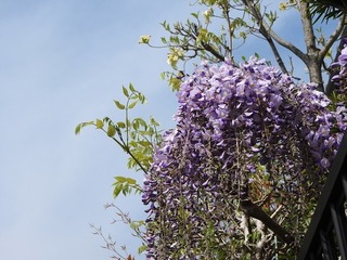 19.4.22.3.jpg