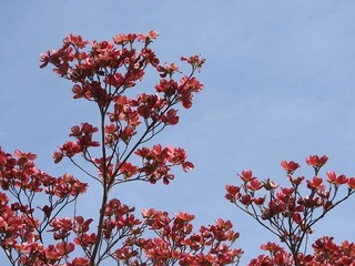 19.4.26.2.jpg