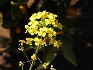 19.4.27.1.jpg