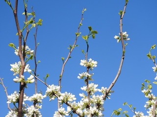 19.4.27.2.jpg
