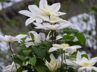 19.4.30.1.jpg
