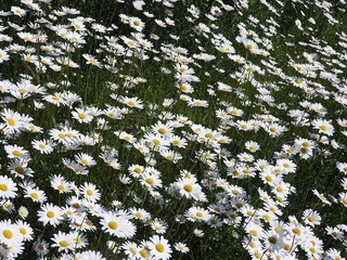 19.5.13.2.jpg