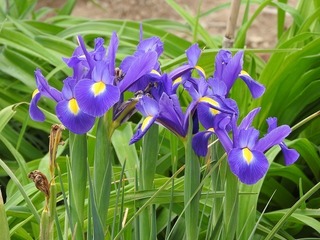 19.5.14.jpg