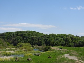 19.5.14.1.jpg