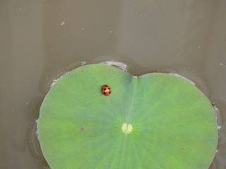 19.5.14.3.jpg