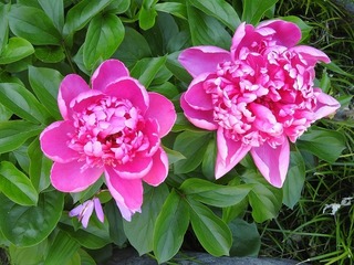 19.5.16.2.jpg