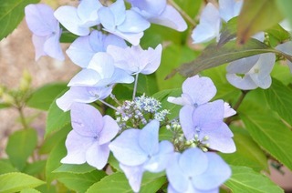 19.5.20.1.jpg